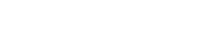Partner 5